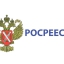 Росреестр Петербурга приостанавливает прием документов на регистрацию прав собственности