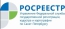 В 2016 году в Петербурге число зарегистрованных ДДУ выросло на 36%